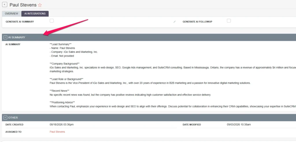 ai lead summary example